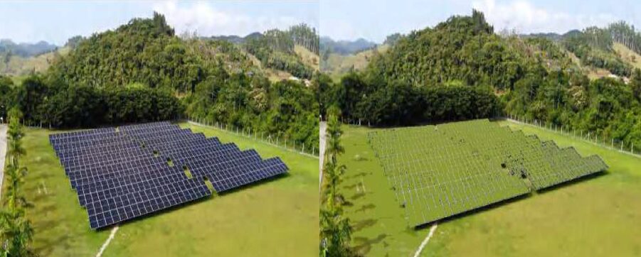 森林など緑の中に設置した事例